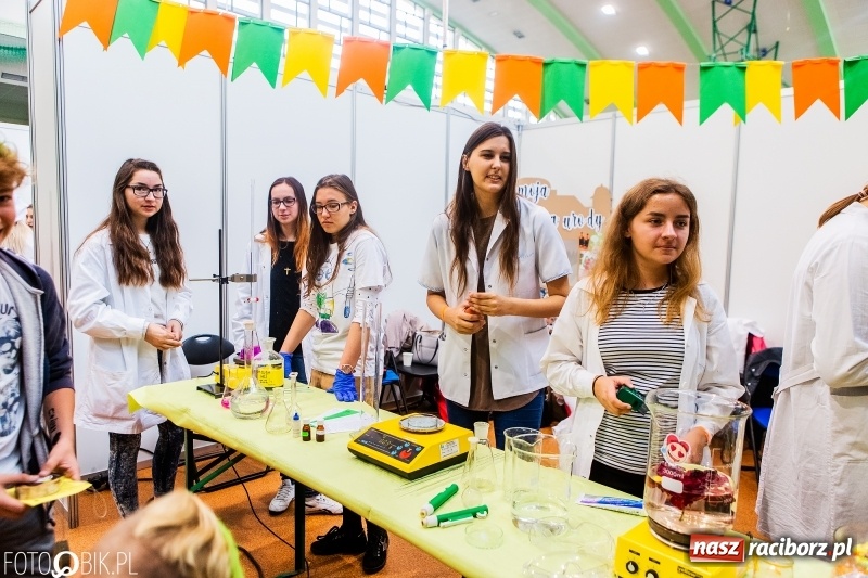 Zdjęcie w galerii na portalu naszraciborz.pl: Raciborski Festiwal Perspektyw. Arena Rafako pełna młodzieży  wiadomości z regionu