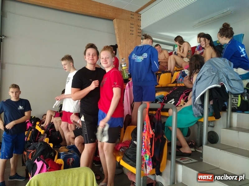 Zdjęcie w galerii na portalu naszraciborz.pl: Pływacki pogrom na zawodach w Gliwicach wiadomości z regionu