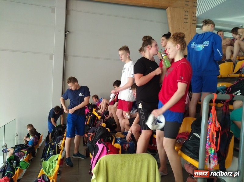 Zdjęcie w galerii na portalu naszraciborz.pl: Pływacki pogrom na zawodach w Gliwicach wiadomości z regionu