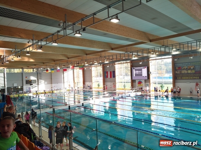 Zdjęcie w galerii na portalu naszraciborz.pl: Pływacki pogrom na zawodach w Gliwicach wiadomości z regionu