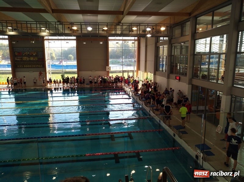 Zdjęcie w galerii na portalu naszraciborz.pl: Pływacki pogrom na zawodach w Gliwicach wiadomości z regionu