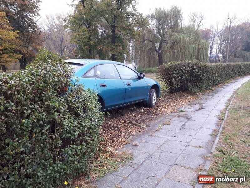 Zdjęcie w galerii na portalu naszraciborz.pl: Kierowca mazdy zakończył podróż na żywopłocie wiadomości z regionu