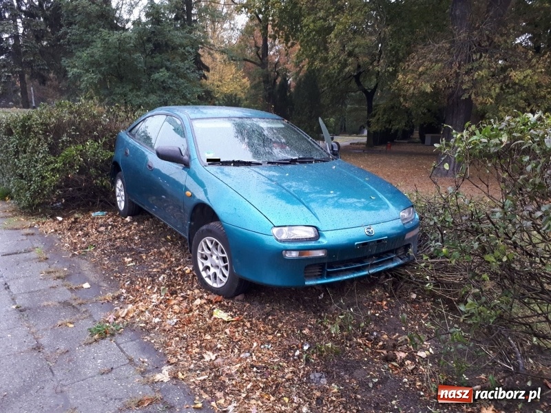 Zdjęcie w galerii na portalu naszraciborz.pl: Kierowca mazdy zakończył podróż na żywopłocie wiadomości z regionu