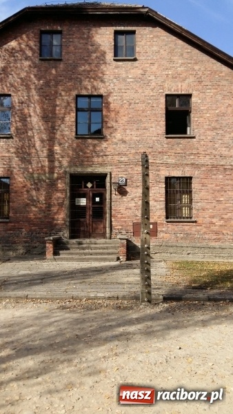 Zdjęcie w galerii na portalu naszraciborz.pl: Uczniowie SP 15 z wizytą w Auschwitz-Birkenau wiadomości z regionu