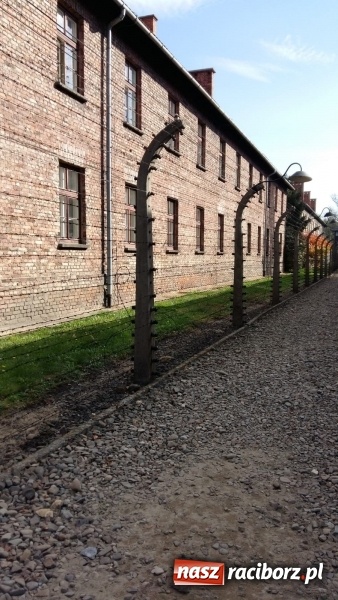 Zdjęcie w galerii na portalu naszraciborz.pl: Uczniowie SP 15 z wizytą w Auschwitz-Birkenau wiadomości z regionu