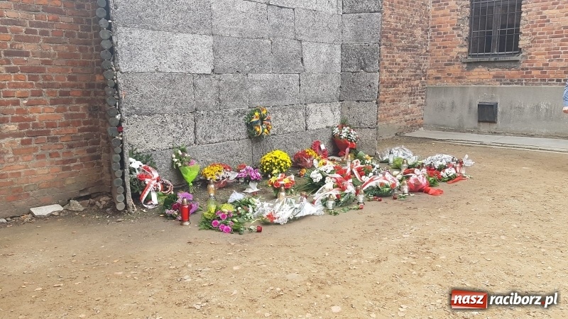 Zdjęcie w galerii na portalu naszraciborz.pl: Uczniowie SP 15 z wizytą w Auschwitz-Birkenau wiadomości z regionu