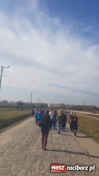 Zdjęcie w galerii na portalu naszraciborz.pl: Uczniowie SP 15 z wizytą w Auschwitz-Birkenau wiadomości z regionu