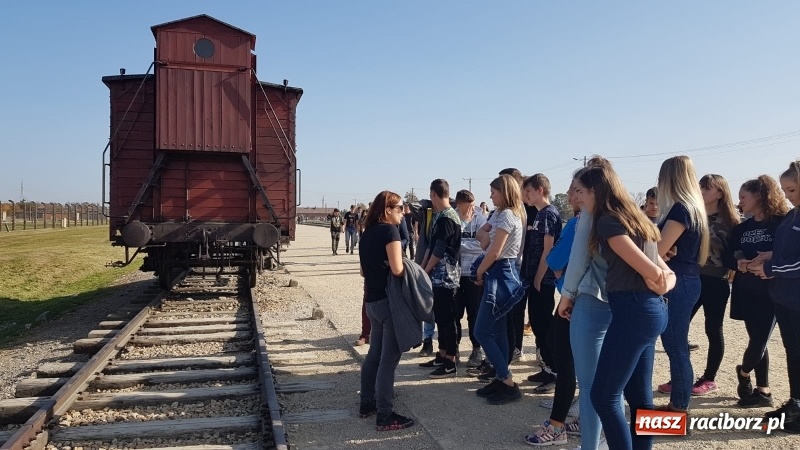 Zdjęcie w galerii na portalu naszraciborz.pl: Uczniowie SP 15 z wizytą w Auschwitz-Birkenau wiadomości z regionu