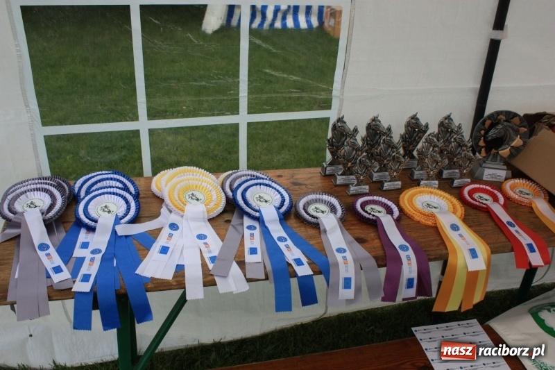 Zdjęcie w galerii na portalu naszraciborz.pl: MOK w Krzanowicach pozyskał blisko 400 tys. zł  wiadomości z regionu