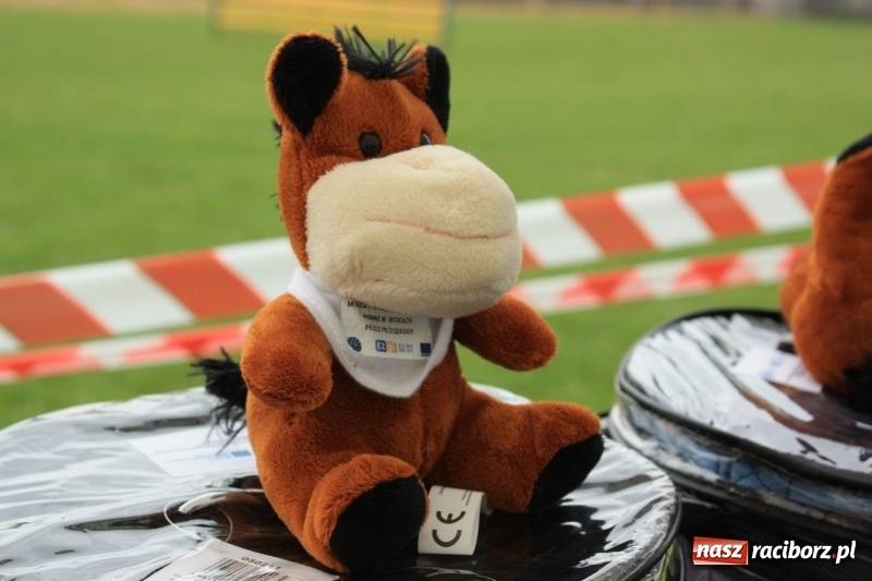 Zdjęcie w galerii na portalu naszraciborz.pl: MOK w Krzanowicach pozyskał blisko 400 tys. zł  wiadomości z regionu