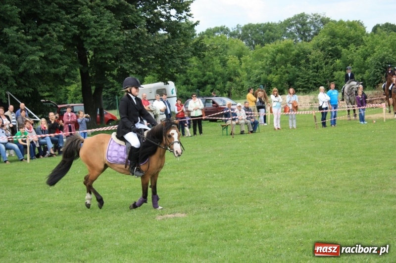 Zdjęcie w galerii na portalu naszraciborz.pl: MOK w Krzanowicach pozyskał blisko 400 tys. zł  wiadomości z regionu