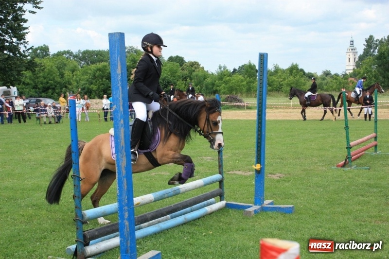 Zdjęcie w galerii na portalu naszraciborz.pl: MOK w Krzanowicach pozyskał blisko 400 tys. zł  wiadomości z regionu