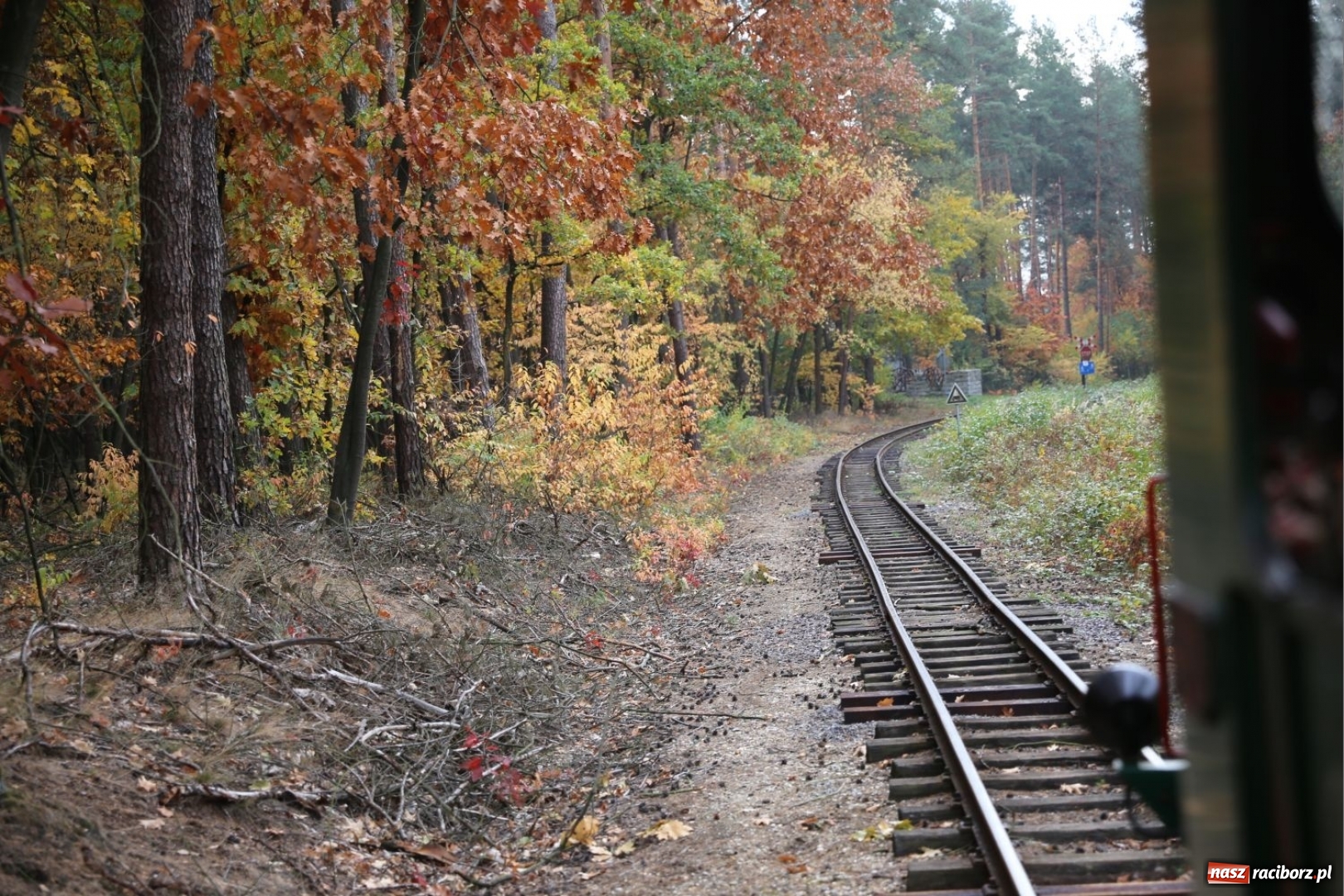 Zdjęcie w galerii na portalu naszraciborz.pl: Trasa kolejki wąskotorowej stała się dłuższa. Teraz pociąg dojedzie do Stodół wiadomości z regionu