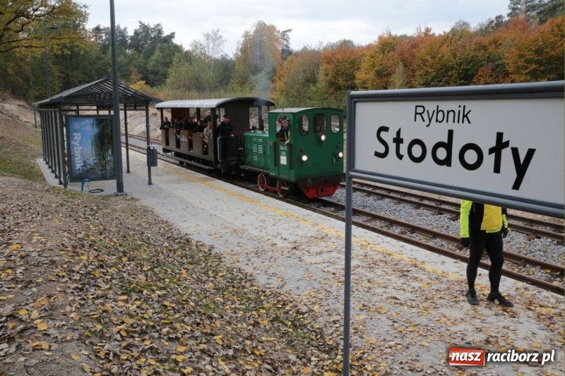 Zdjęcie w galerii na portalu naszraciborz.pl: Trasa kolejki wąskotorowej stała się dłuższa. Teraz pociąg dojedzie do Stodół wiadomości z regionu