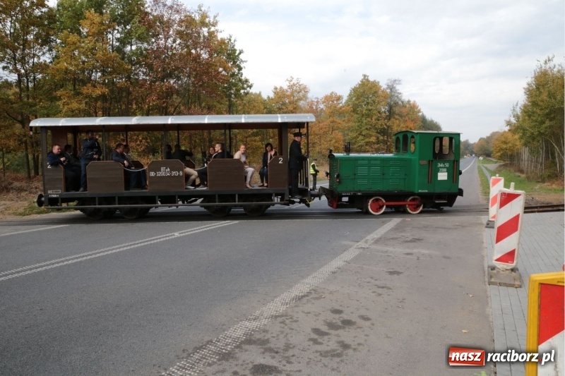 Zdjęcie w galerii na portalu naszraciborz.pl: Trasa kolejki wąskotorowej stała się dłuższa. Teraz pociąg dojedzie do Stodół wiadomości z regionu