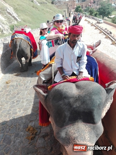 Zdjęcie w galerii na portalu naszraciborz.pl: Zespół Raciborzanie rozpoczął nowy sezon taneczny w dalekich Indiach wiadomości z regionu