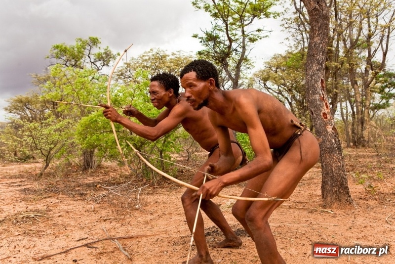 Zdjęcie w galerii na portalu naszraciborz.pl: Festiwal Podróżniczy Wiatraki już po raz piętnasty wiadomości z regionu