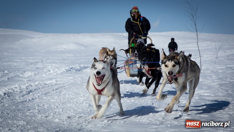 Zdjęcie w galerii na portalu naszraciborz.pl: Festiwal Podróżniczy Wiatraki już po raz piętnasty wiadomości z regionu