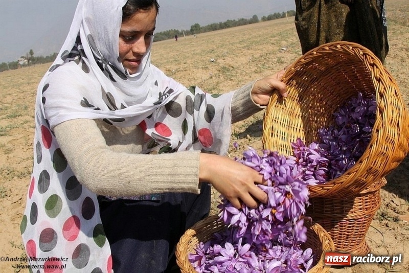 Zdjęcie w galerii na portalu naszraciborz.pl: Festiwal Podróżniczy Wiatraki już po raz piętnasty wiadomości z regionu