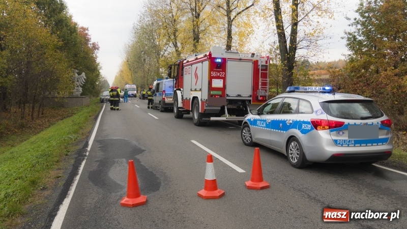 Zdjęcie w galerii na portalu naszraciborz.pl: Czołowe zderzenie audi i forda na DW 919 wiadomości z regionu