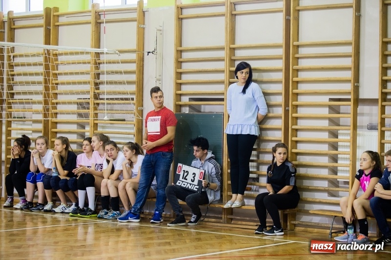 Zdjęcie w galerii na portalu naszraciborz.pl: Turniej dwójek siatkarskich dziewcząt w Ekonomiku wiadomości z regionu