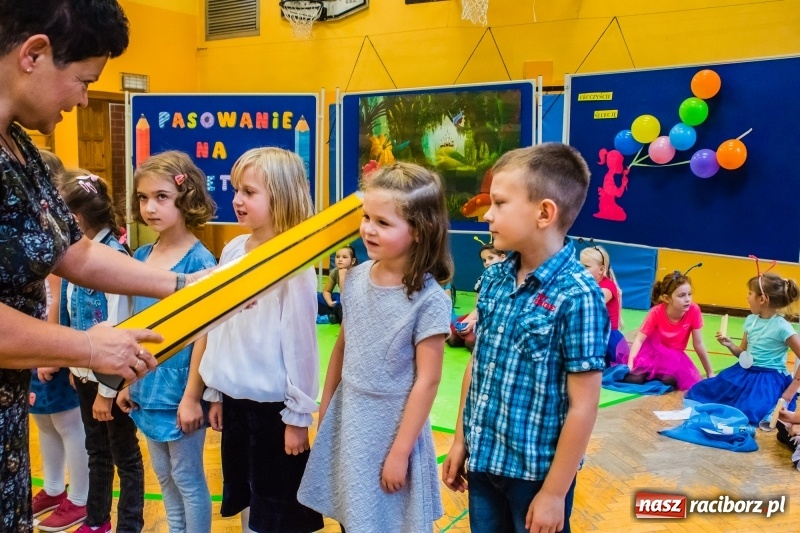 Zdjęcie w galerii na portalu naszraciborz.pl: Pierwszoklasiści z SP 13 wyruszyli dziś w podróż do Świetlikowego Lasu wiadomości z regionu