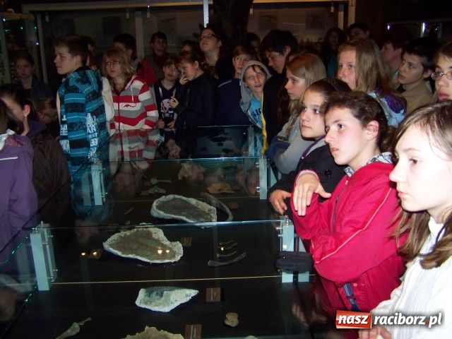 Zdjęcie w galerii na portalu naszraciborz.pl: Węgrzy odwiedzili Gimnazjum nr 5 wiadomości z regionu