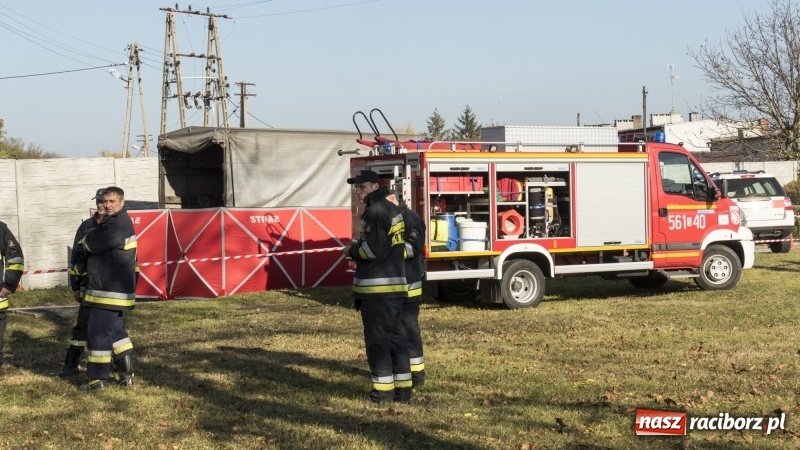 Zdjęcie w galerii na portalu naszraciborz.pl: Tragedia podczas cofania. Nie żyje 84-latek  wiadomości z regionu