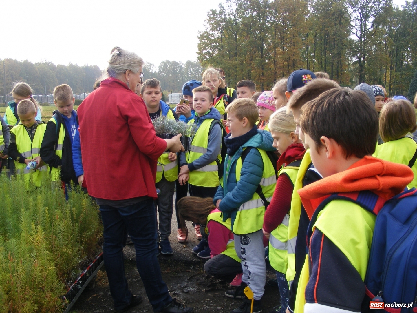 Zdjęcie w galerii na portalu naszraciborz.pl: Uczniowie SP 15 obchodzili Dzień Drzewa wiadomości z regionu