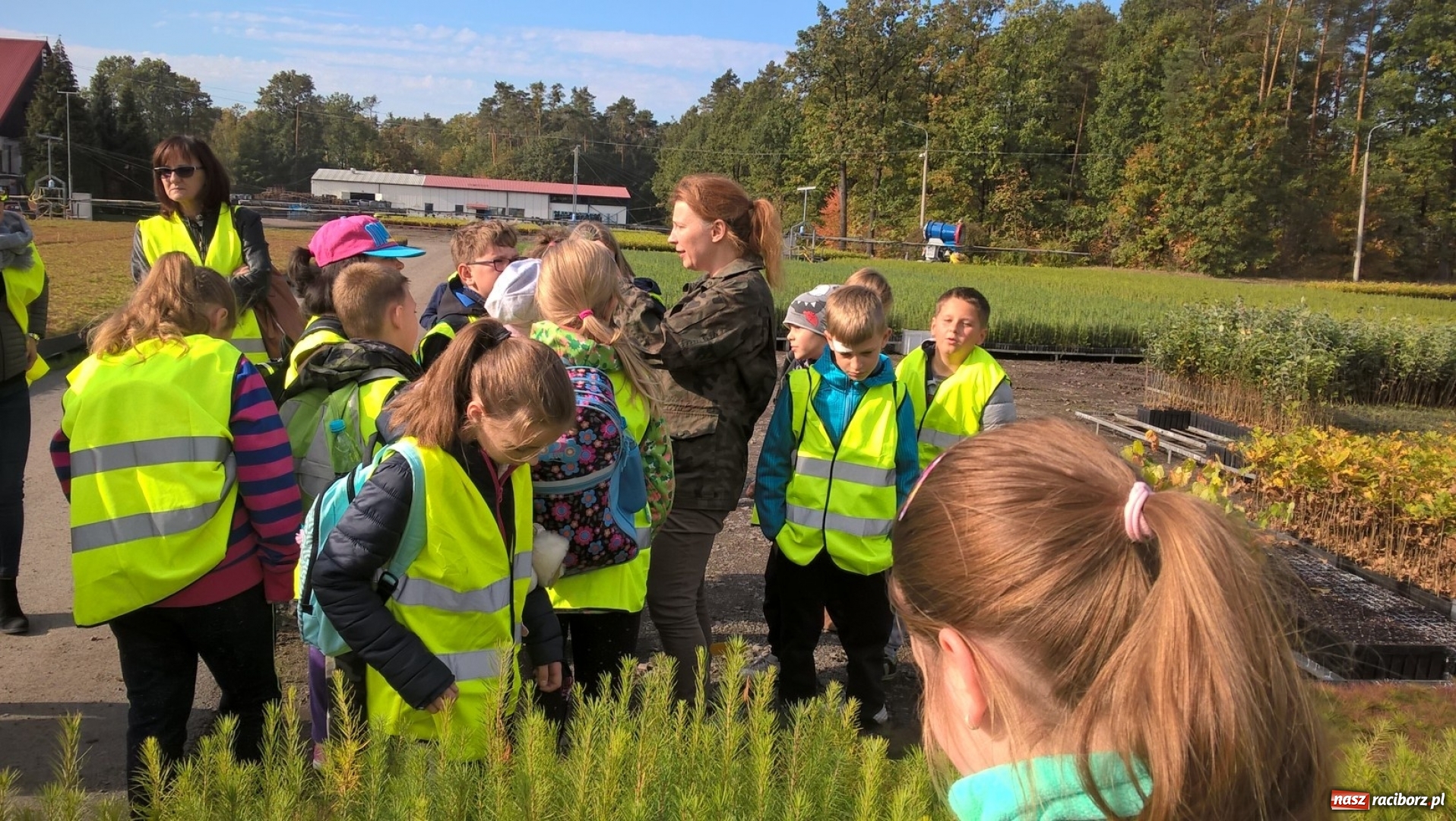 Zdjęcie w galerii na portalu naszraciborz.pl: Uczniowie SP 15 obchodzili Dzień Drzewa wiadomości z regionu