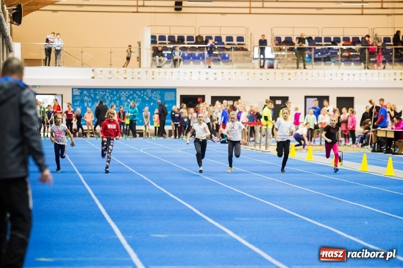 Zdjęcie w galerii na portalu naszraciborz.pl: Halowe Mistrzostwa Raciborza w lekkiej atletyce wiadomości z regionu