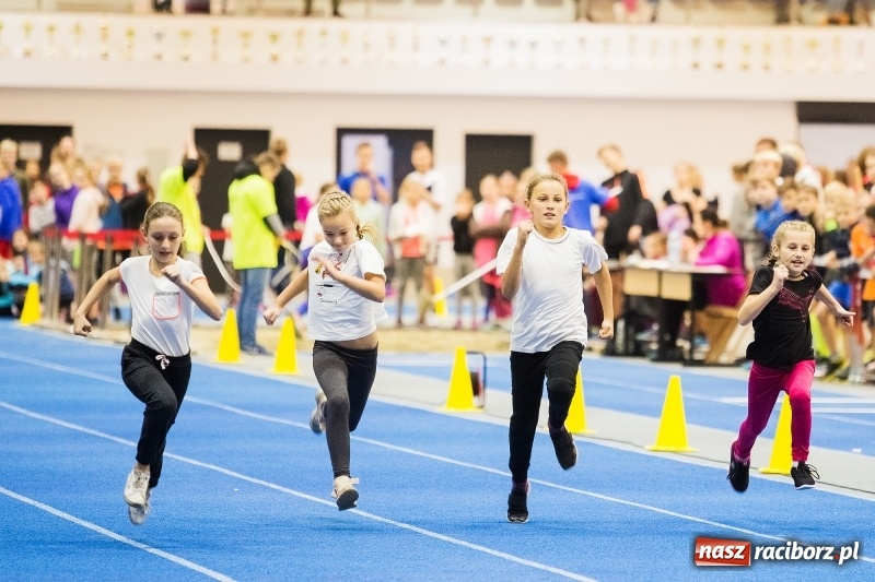 Zdjęcie w galerii na portalu naszraciborz.pl: Halowe Mistrzostwa Raciborza w lekkiej atletyce wiadomości z regionu