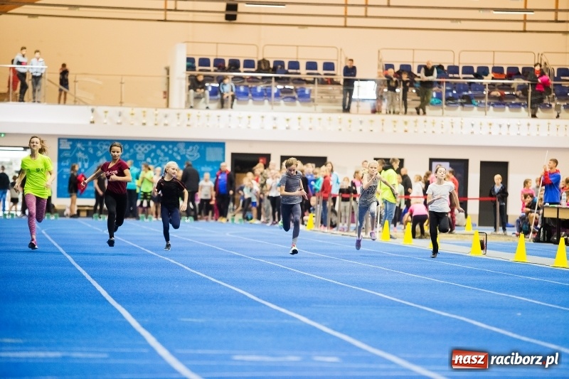 Zdjęcie w galerii na portalu naszraciborz.pl: Halowe Mistrzostwa Raciborza w lekkiej atletyce wiadomości z regionu