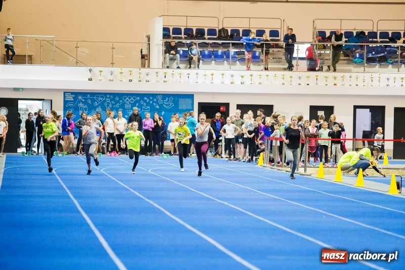 Zdjęcie w galerii na portalu naszraciborz.pl: Halowe Mistrzostwa Raciborza w lekkiej atletyce wiadomości z regionu