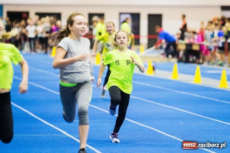 Zdjęcie w galerii na portalu naszraciborz.pl: Halowe Mistrzostwa Raciborza w lekkiej atletyce wiadomości z regionu