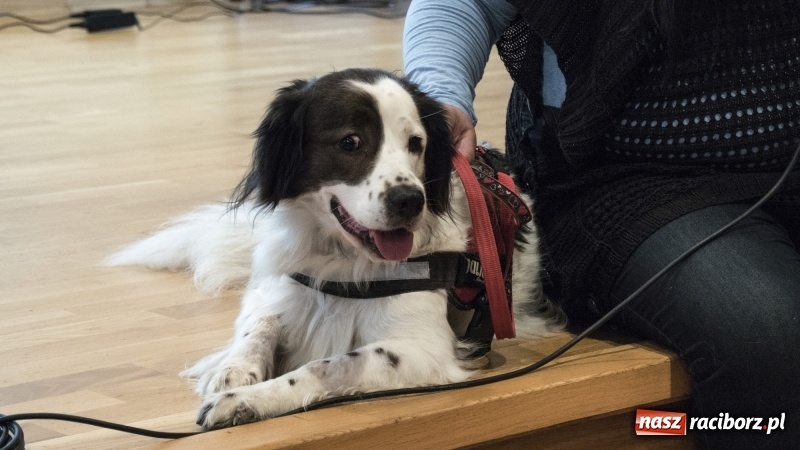 Zdjęcie w galerii na portalu naszraciborz.pl: Autyzm. Codzienność… Sytuacje społeczne - konferencja na zamku  wiadomości z regionu
