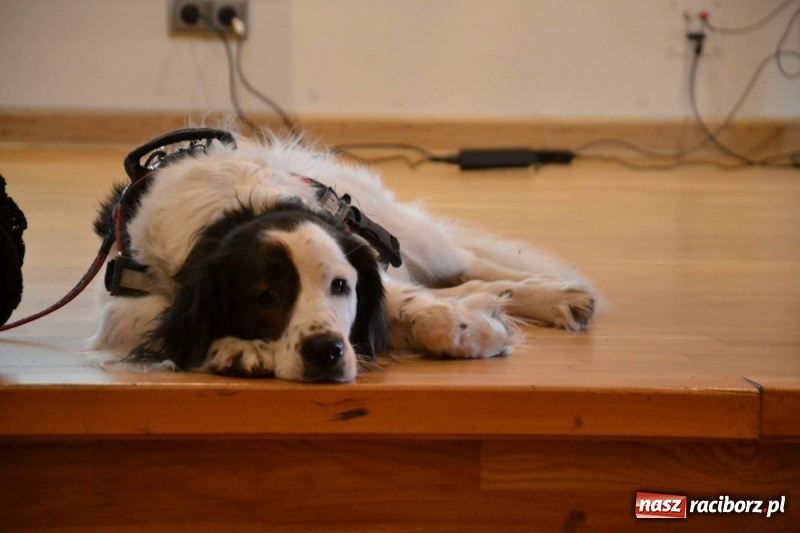 Zdjęcie w galerii na portalu naszraciborz.pl: Autyzm. Codzienność… Sytuacje społeczne - konferencja na zamku  wiadomości z regionu