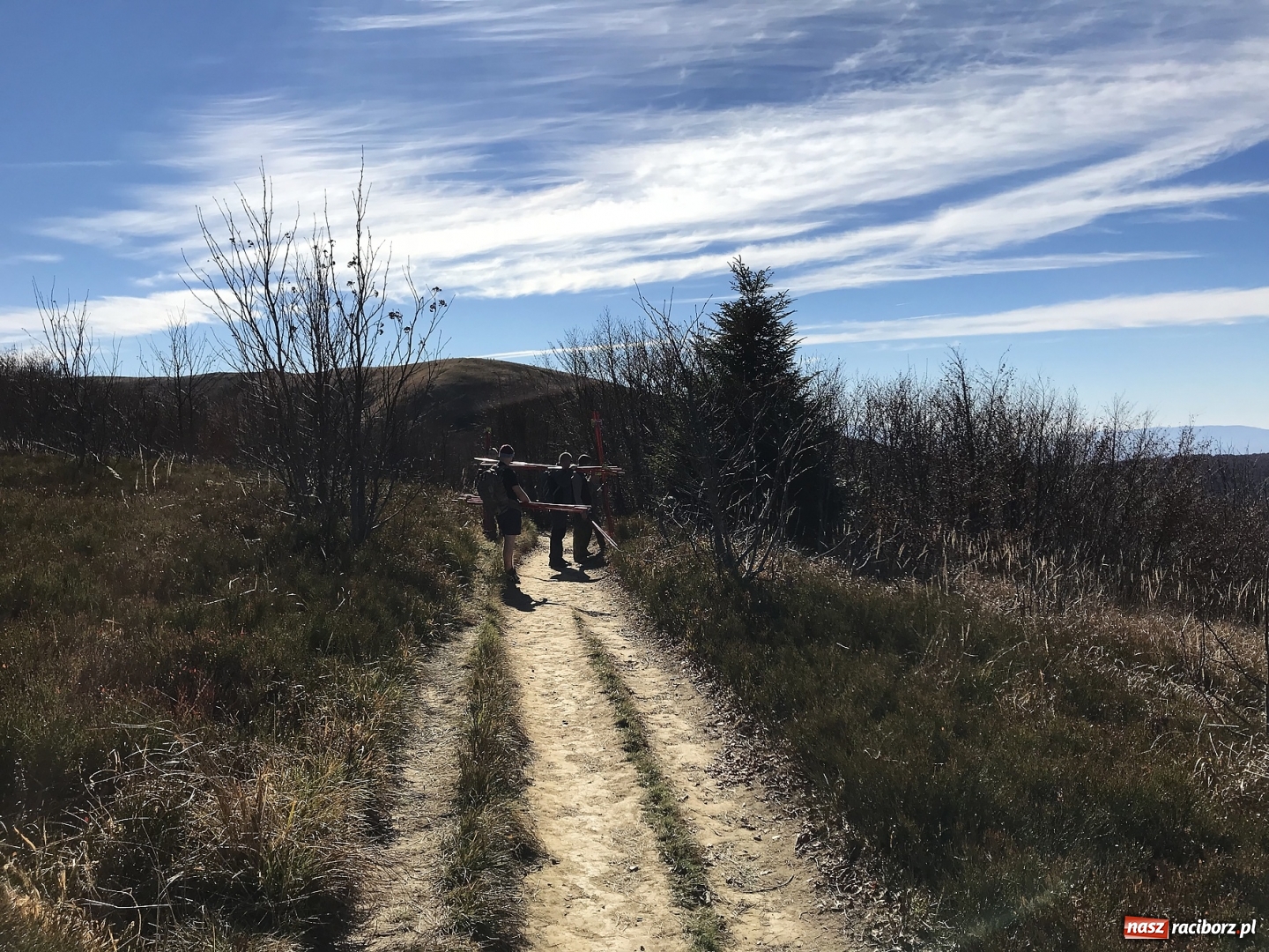 Zdjęcie w galerii na portalu naszraciborz.pl: Wolontariusze z Raciborza w Bieszczadach wiadomości z regionu