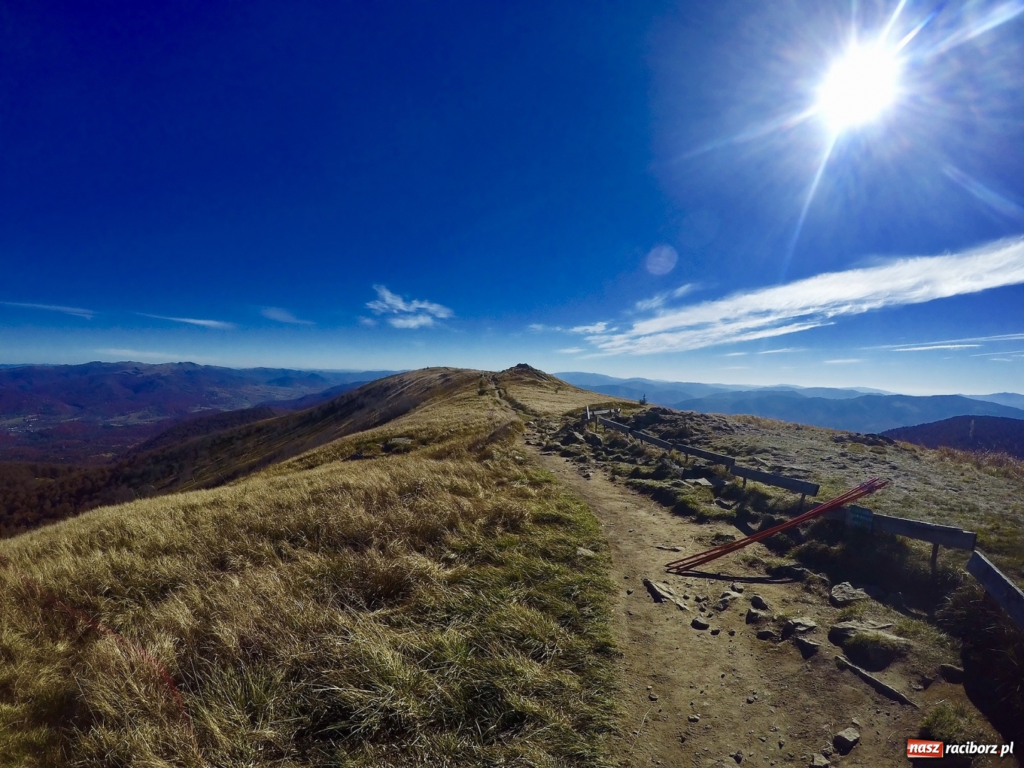 Zdjęcie w galerii na portalu naszraciborz.pl: Wolontariusze z Raciborza w Bieszczadach wiadomości z regionu