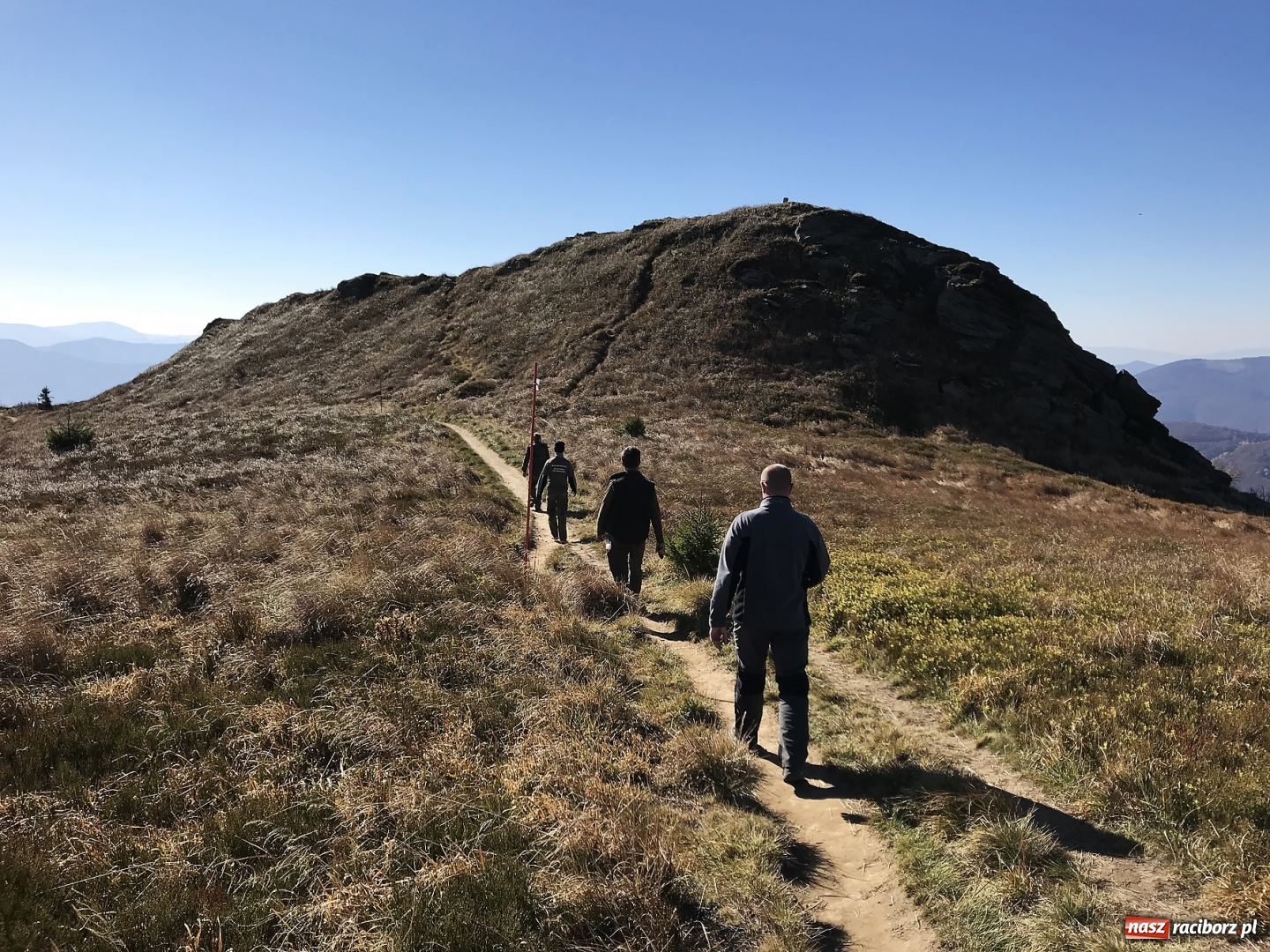 Zdjęcie w galerii na portalu naszraciborz.pl: Wolontariusze z Raciborza w Bieszczadach wiadomości z regionu