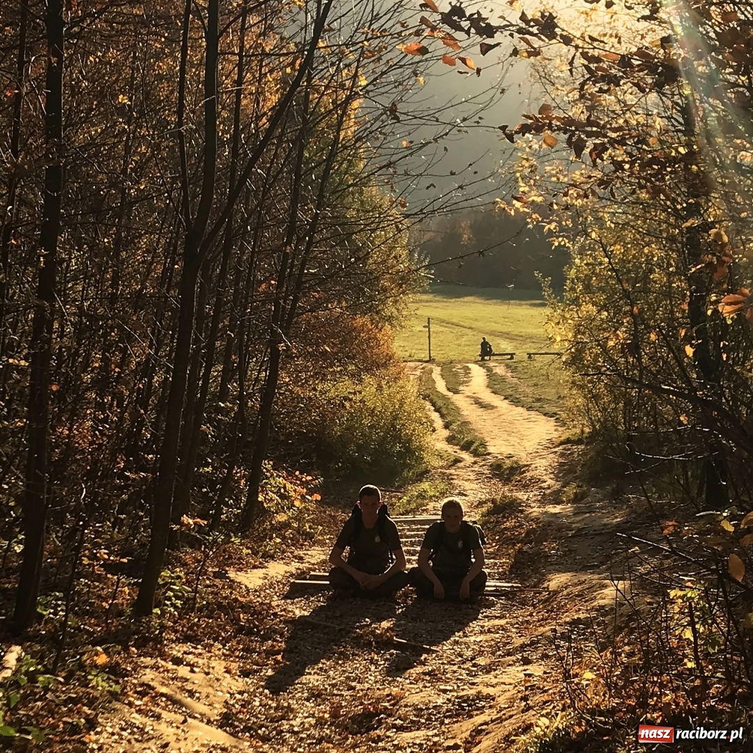 Zdjęcie w galerii na portalu naszraciborz.pl: Wolontariusze z Raciborza w Bieszczadach wiadomości z regionu