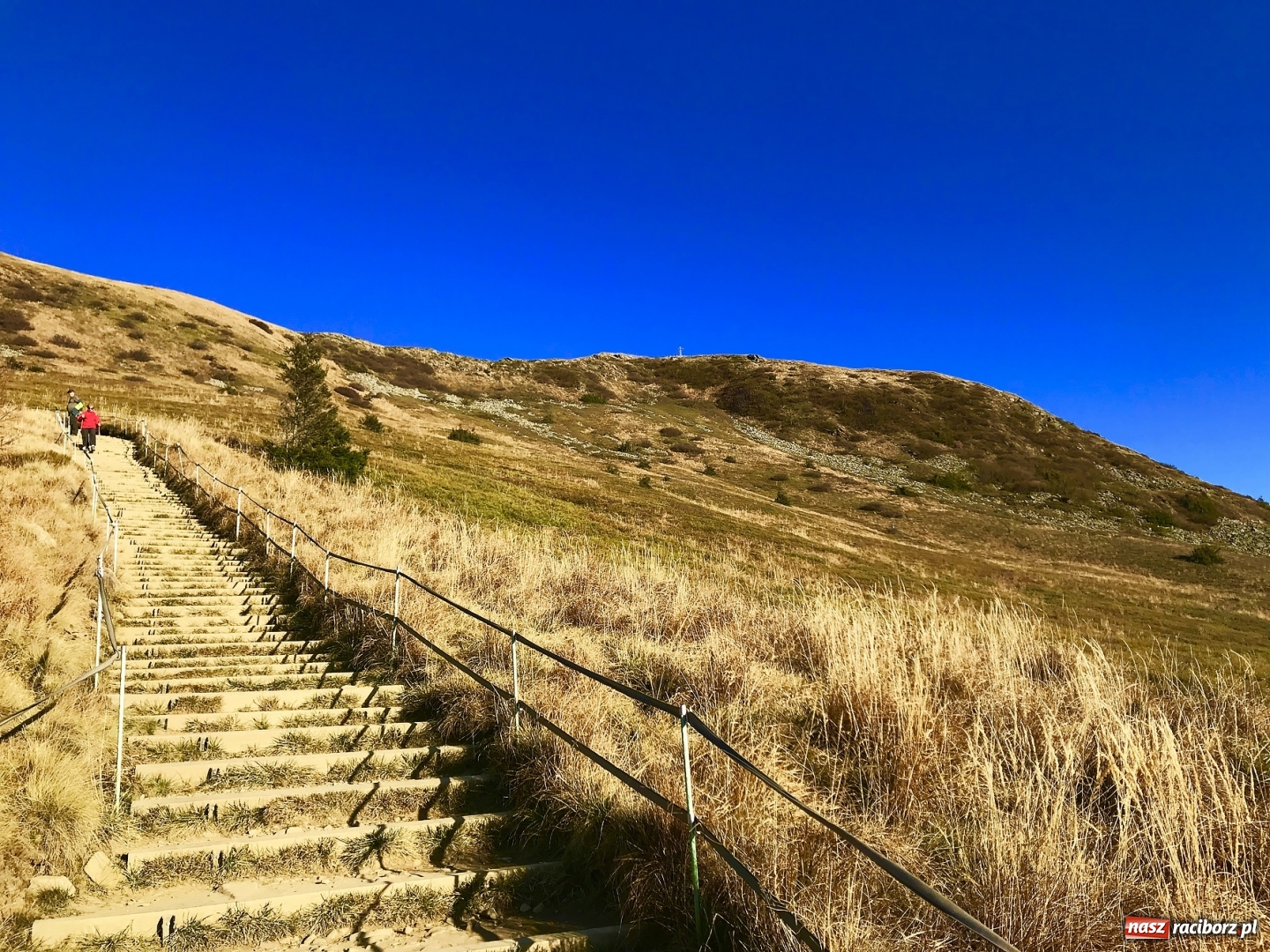 Zdjęcie w galerii na portalu naszraciborz.pl: Wolontariusze z Raciborza w Bieszczadach wiadomości z regionu