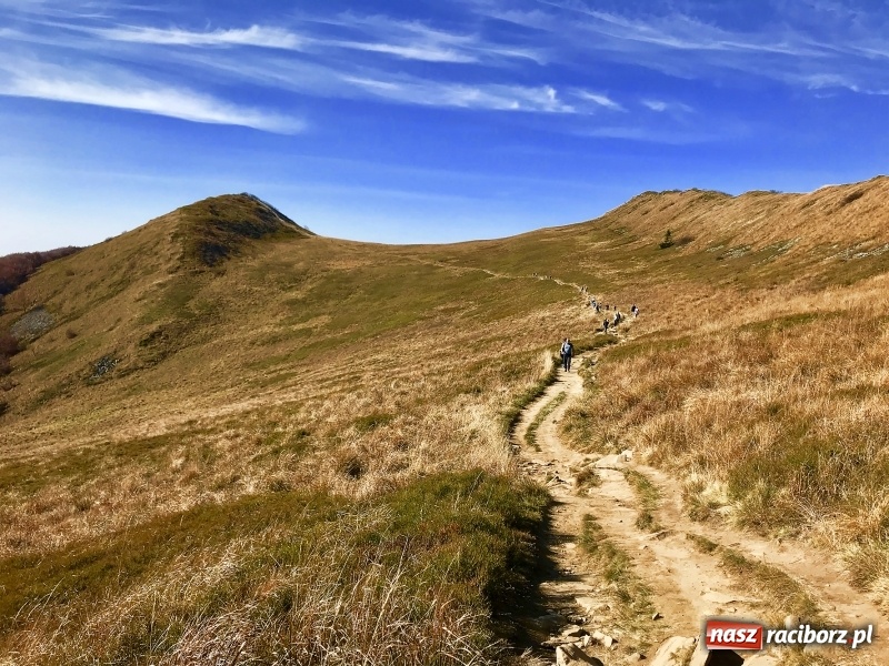 Zdjęcie w galerii na portalu naszraciborz.pl: Wolontariusze z Raciborza w Bieszczadach wiadomości z regionu