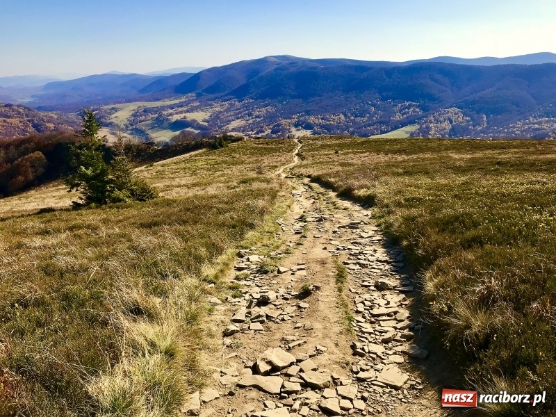 Zdjęcie w galerii na portalu naszraciborz.pl: Wolontariusze z Raciborza w Bieszczadach wiadomości z regionu