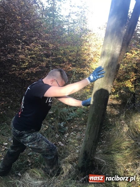 Zdjęcie w galerii na portalu naszraciborz.pl: Wolontariusze z Raciborza w Bieszczadach wiadomości z regionu