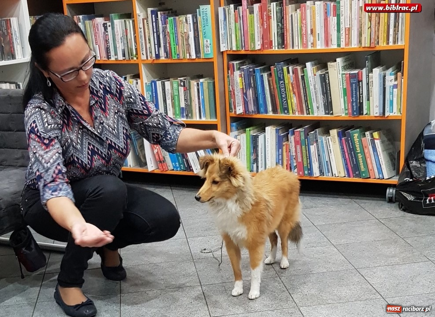 Zdjęcie w galerii na portalu naszraciborz.pl: O dogoterapii w Klubie Przyjaciół Biblioteki na Ostrogu  wiadomości z regionu