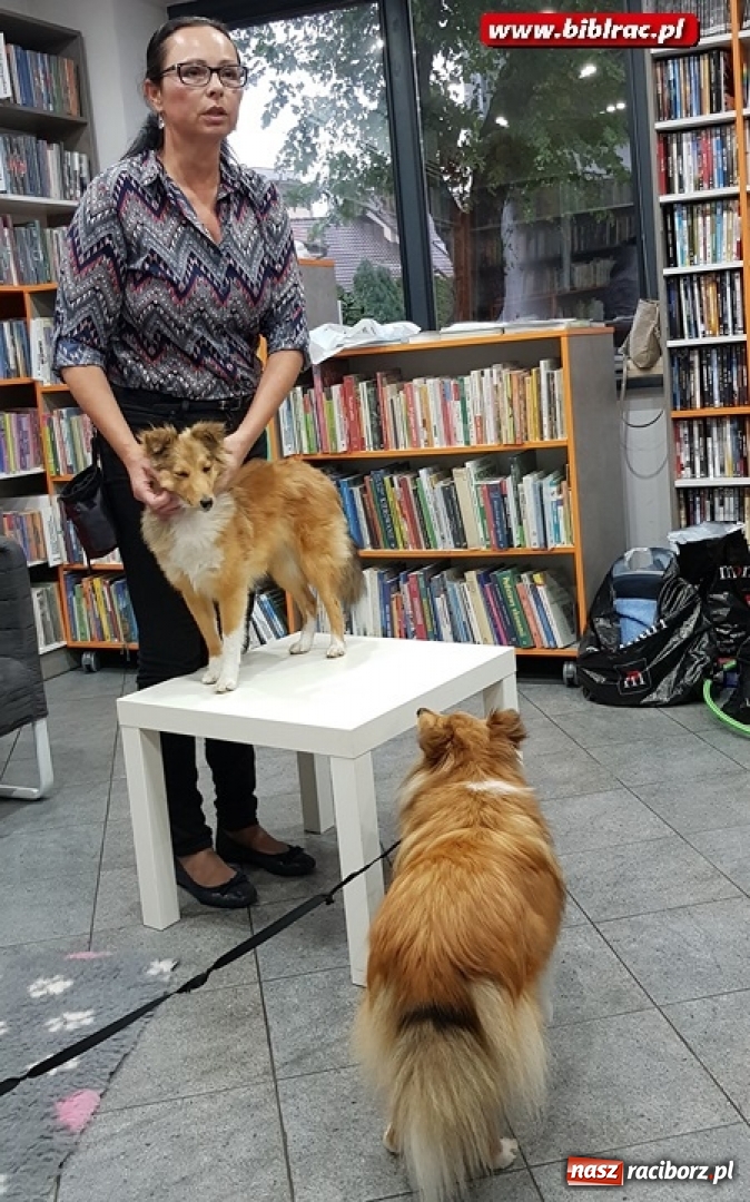 Zdjęcie w galerii na portalu naszraciborz.pl: O dogoterapii w Klubie Przyjaciół Biblioteki na Ostrogu  wiadomości z regionu