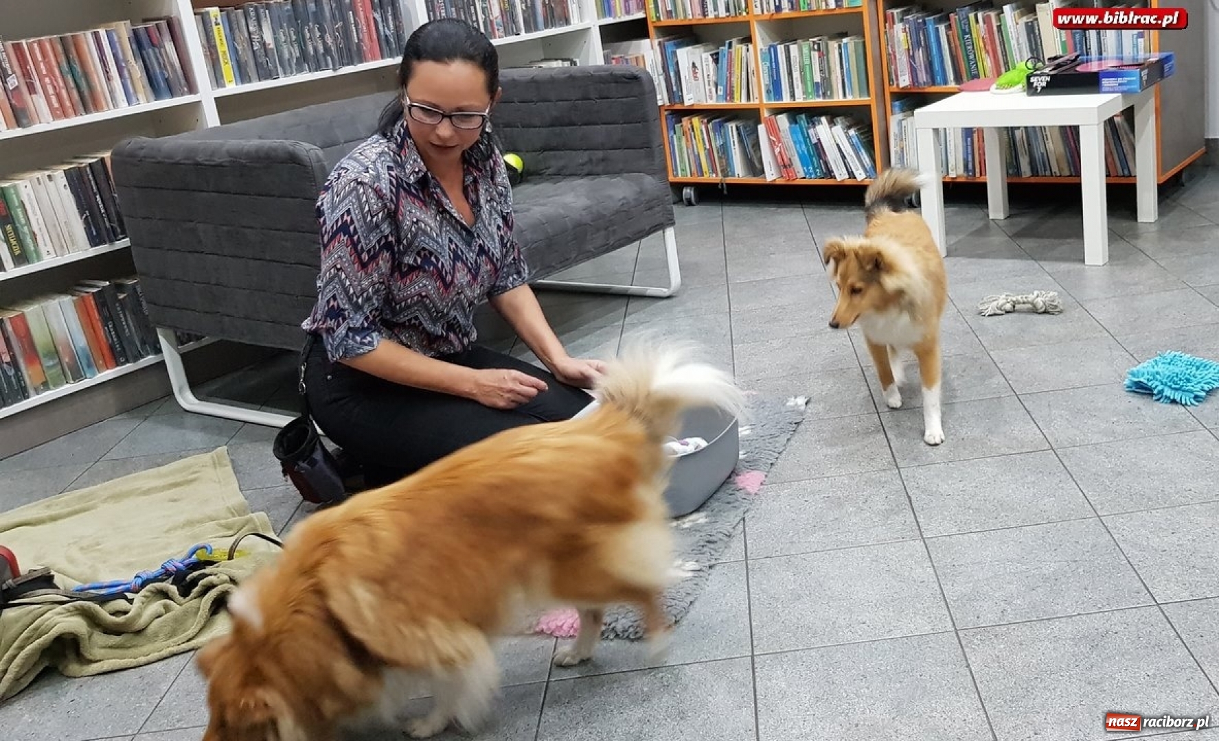 Zdjęcie w galerii na portalu naszraciborz.pl: O dogoterapii w Klubie Przyjaciół Biblioteki na Ostrogu  wiadomości z regionu