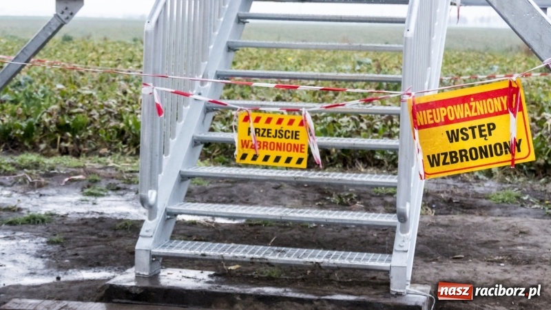Zdjęcie w galerii na portalu naszraciborz.pl: Gotowa jest platformowa widokowa w Oborze i wieża w Pietrowicach Wielkich  wiadomości z regionu