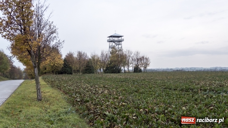 Zdjęcie w galerii na portalu naszraciborz.pl: Gotowa jest platformowa widokowa w Oborze i wieża w Pietrowicach Wielkich  wiadomości z regionu